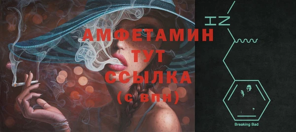 дмт Каменка