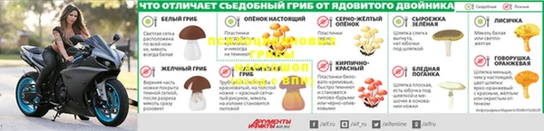 дмт Каменка