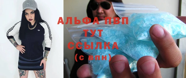 дмт Каменка