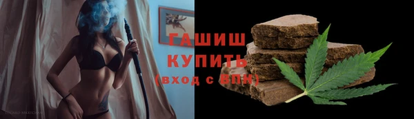 дмт Каменка