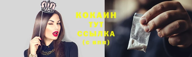 альфа пвп Каменногорск
