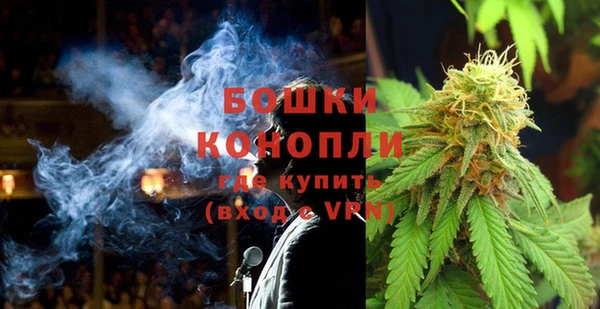 дмт Каменка
