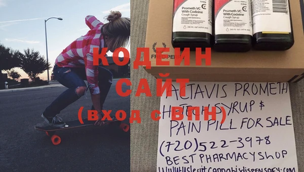 дмт Каменка