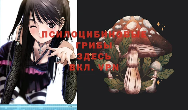 дмт Каменка