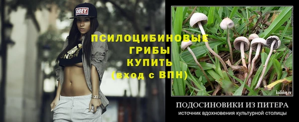 дмт Каменка