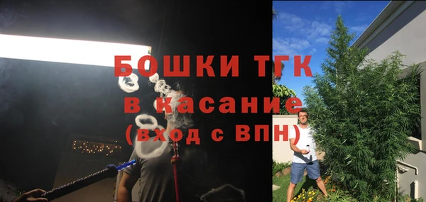 дмт Каменка
