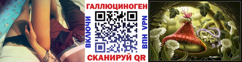 Псилоцибиновые грибы Psilocybe  Купить где  Гвардейск 